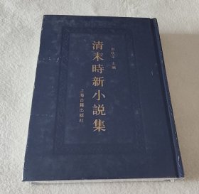 清末时新小说集 十
