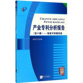 产业专利分析报告