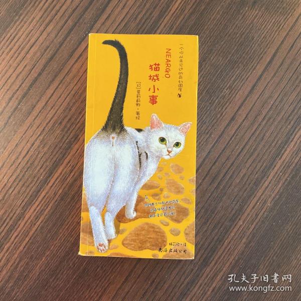 猫城小事