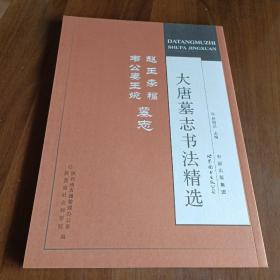 大唐墓志书法精选：赵王李福、韦公妻王婉墓志