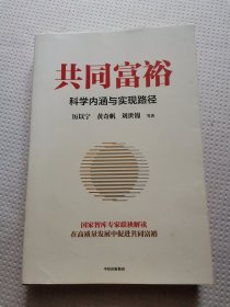 共同富裕：科学内涵与实现路径 黄奇帆、刘世锦、马建堂 联袂解读