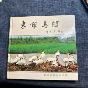东滩鸟类邮政明信片纪念册