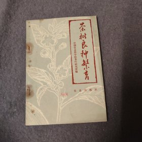 茶树良种繁育