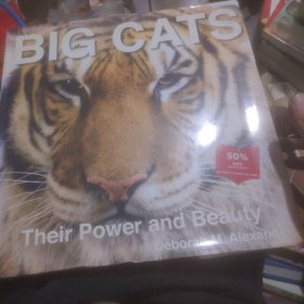 BigCats