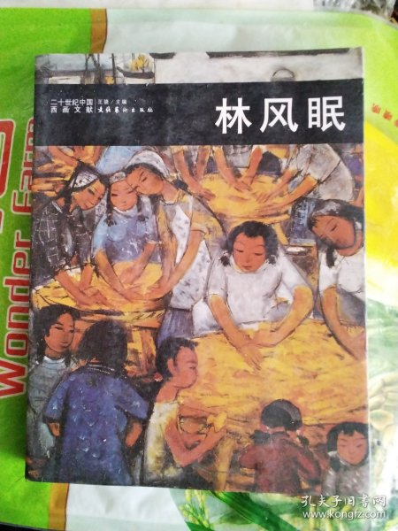 二十世纪中国西画文献 林风眠