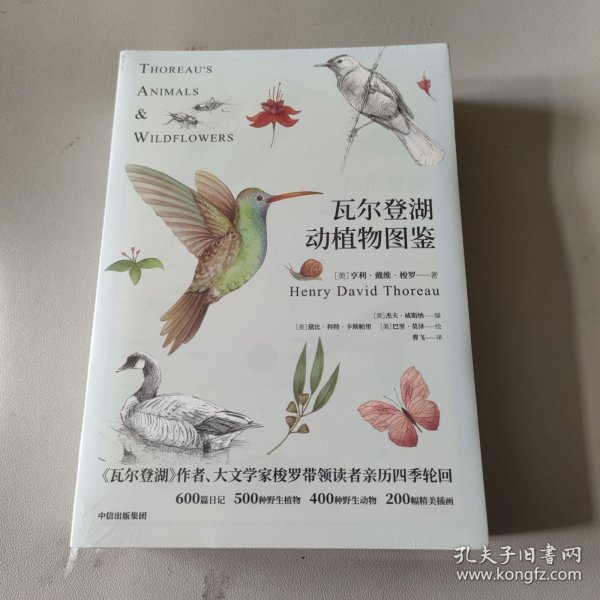 瓦尔登湖动植物图鉴