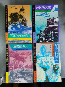 第二次世界大战纪实丛书 4册合售