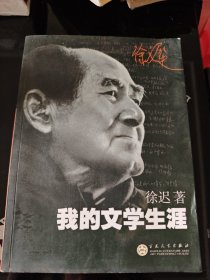 我的文学生涯