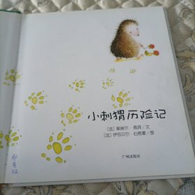 小刺猬历险记