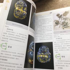 大众收藏系列图书：十招教你辨琥珀
