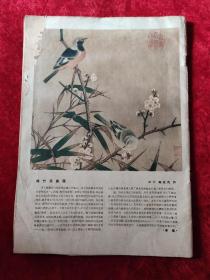 新观察（1958年第6期）（封底有破损缺肉，慎拍）