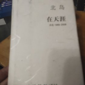 在天涯：诗选1989—2008