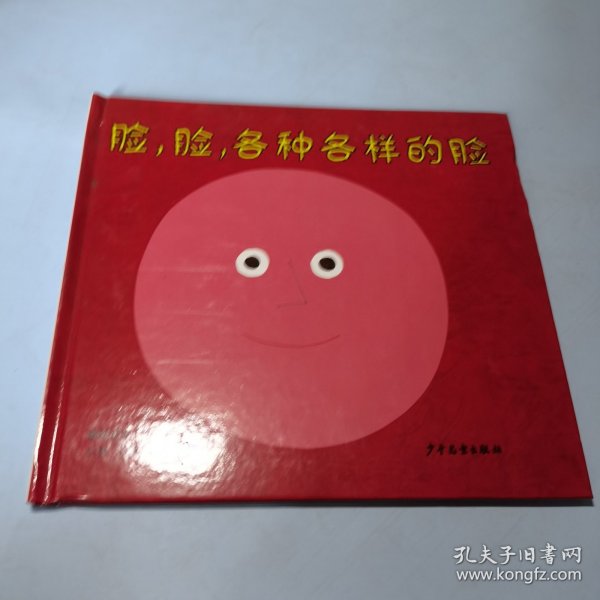 脸，脸，各种各样的脸：幼幼成长图画书