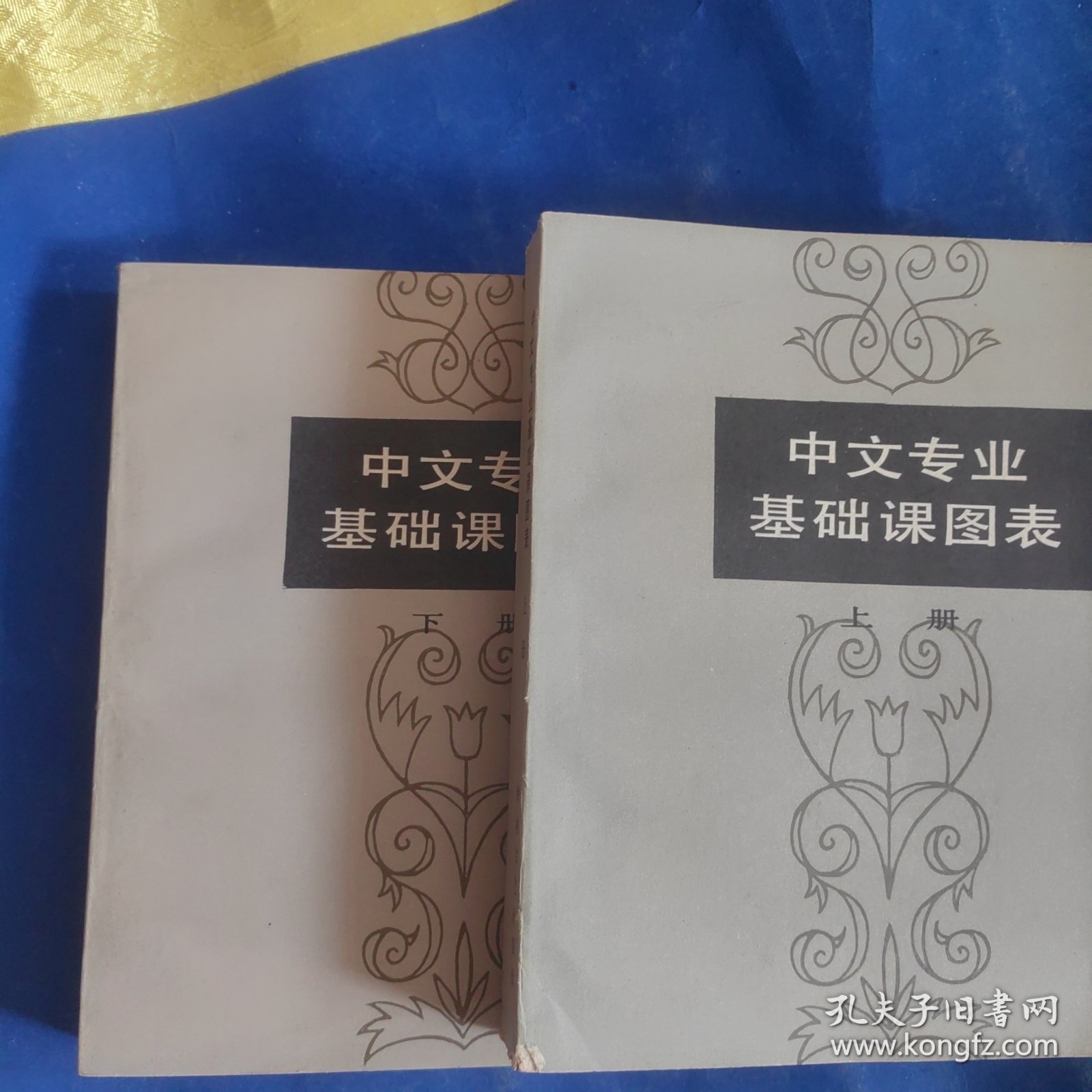 中文专业基础课图表（上下两册）