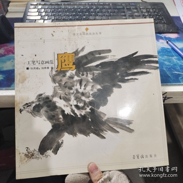 工笔写意画范：鹰