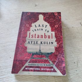 Last Train to Istanbul：A Novel