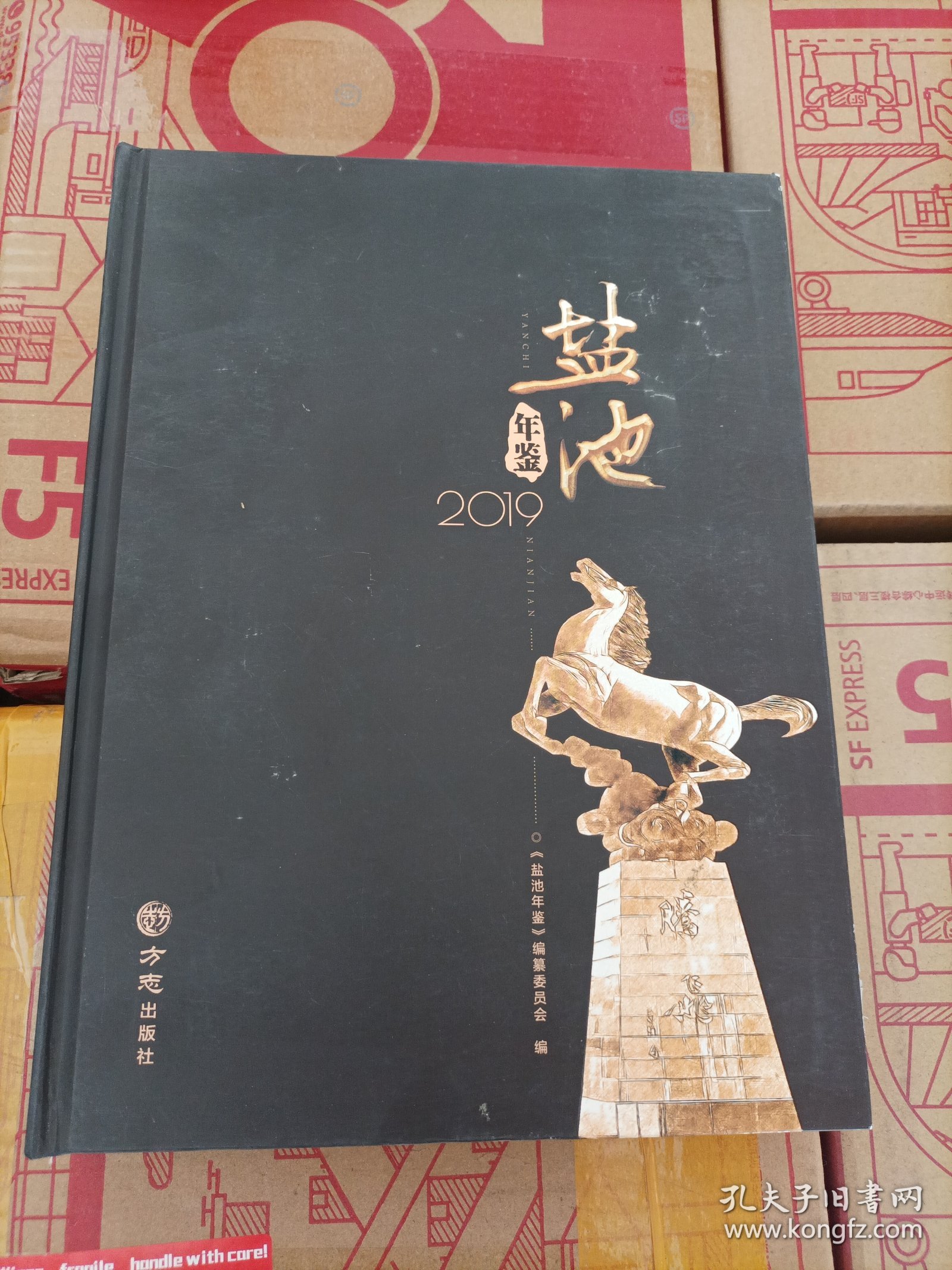 宁夏地方志：《盐池年鉴2019》