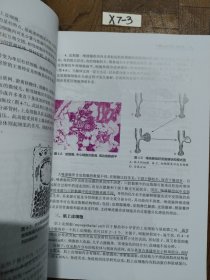 口腔组织病理学（第4版）（“十三五“全国高职高专口腔医学和口腔医学技术专业规划教材）