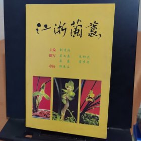 新编江浙兰蕙