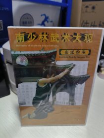 T 南少林武術(shù)大觀：南派豹拳 1VCD 中英雙語（全新未拆封）