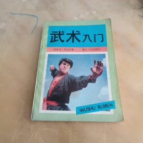 武术入门