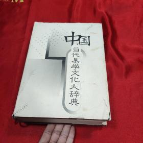 中国当代易学文化大辞典.人物卷