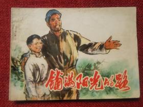 铺满阳光的路