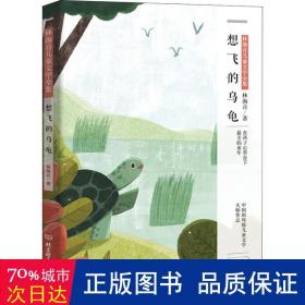 想飞的乌龟 儿童文学 林海音