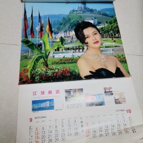 1993恭贺新禧香港女明星挂历