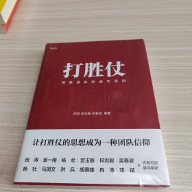 打胜仗:常胜团队的成功密码