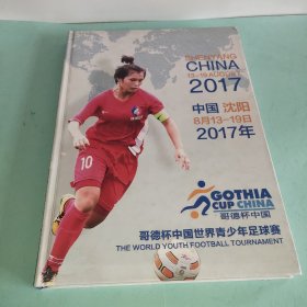 哥德杯中国世界青少年足球赛