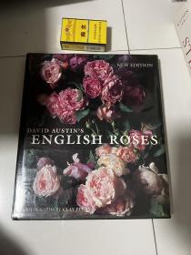 David Austin's English Roses 大卫·奥斯汀《英国玫瑰》