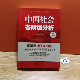 中国社会各阶层分析