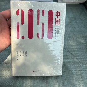 2050中国