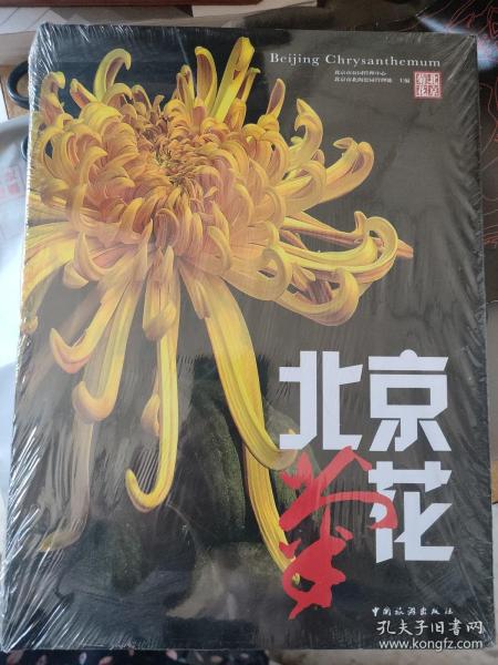 北京菊花