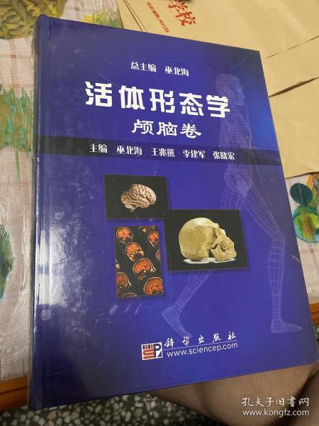 活体形态学：颅脑卷