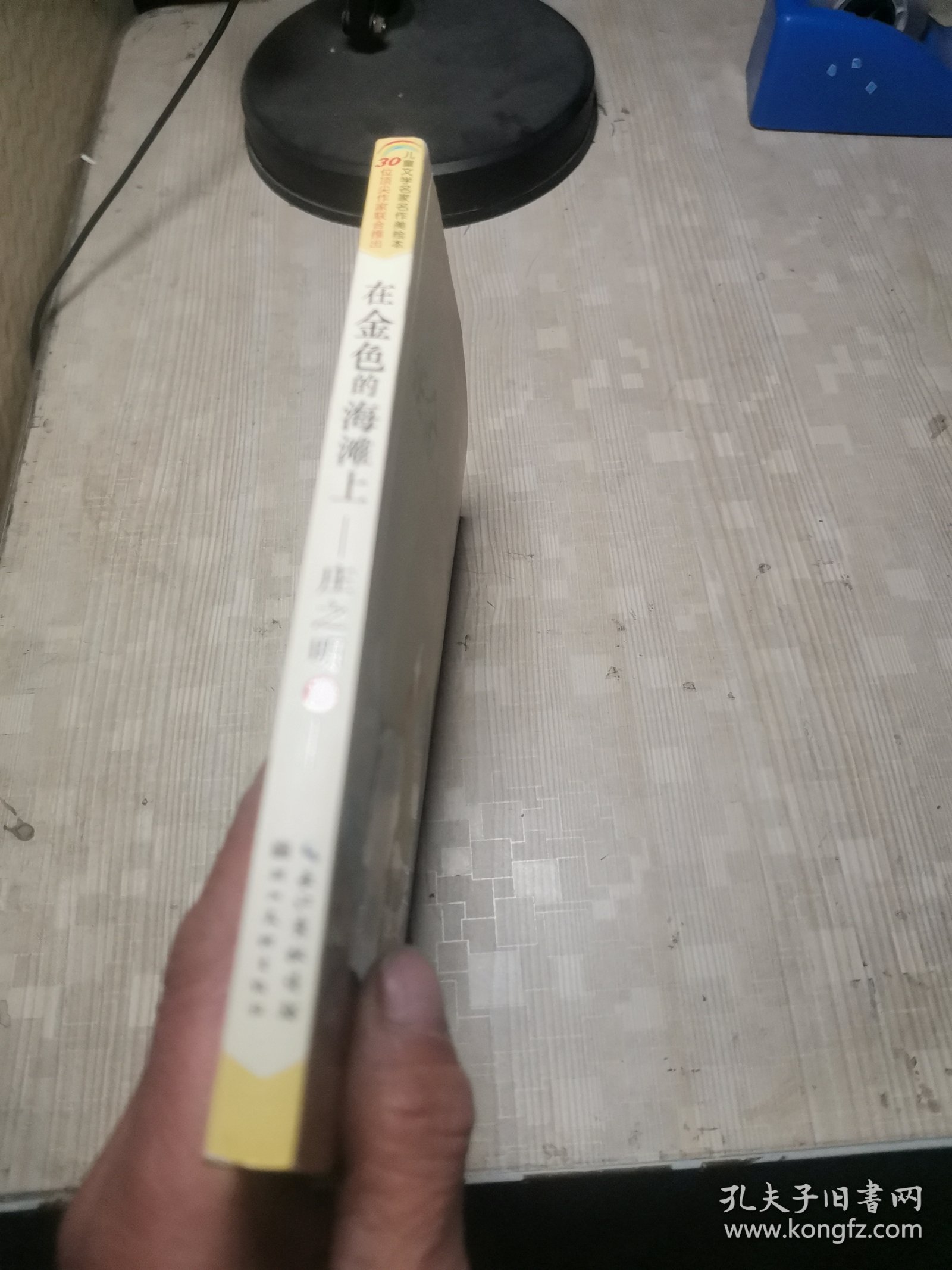 儿童文学名家名作美绘本-在金色的海滩上