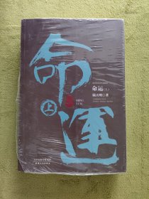 陆天明当代作品精选：命运（套装全2册）