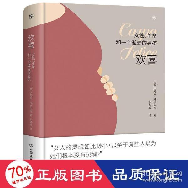 欢喜：女性、革命和一个逝去的男孩（诺贝尔文学奖热门提名作家女性主义作品）