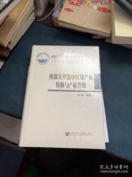 国家哲学社会科学成果文库：西部大开发中区域产业转移与产业升级