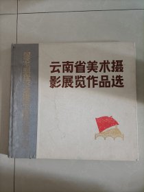 纪念毛主席再延安坐谈会上的讲话，（云南美术作品）精装本