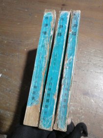 水浒传（上中下）李子彬 著中信出版集团股份有限公司,中信出版社