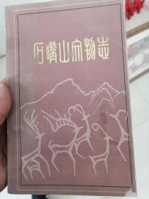石嘴山文物志