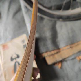 内科摘要八五品28包邮