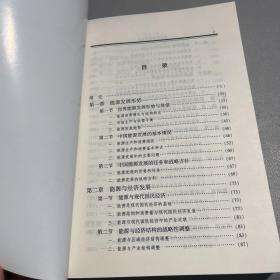 国家能源安全报告