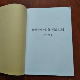 初级会计实务考试大钢(2021)