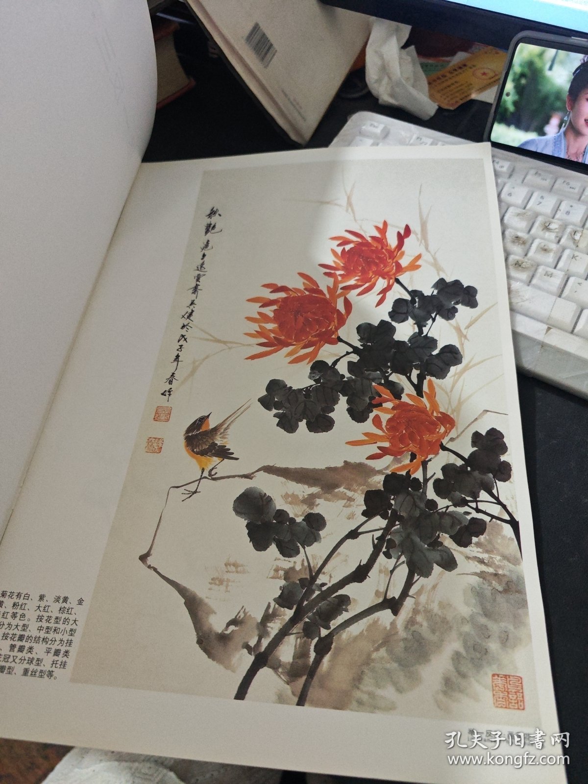 举一反三：画菊花