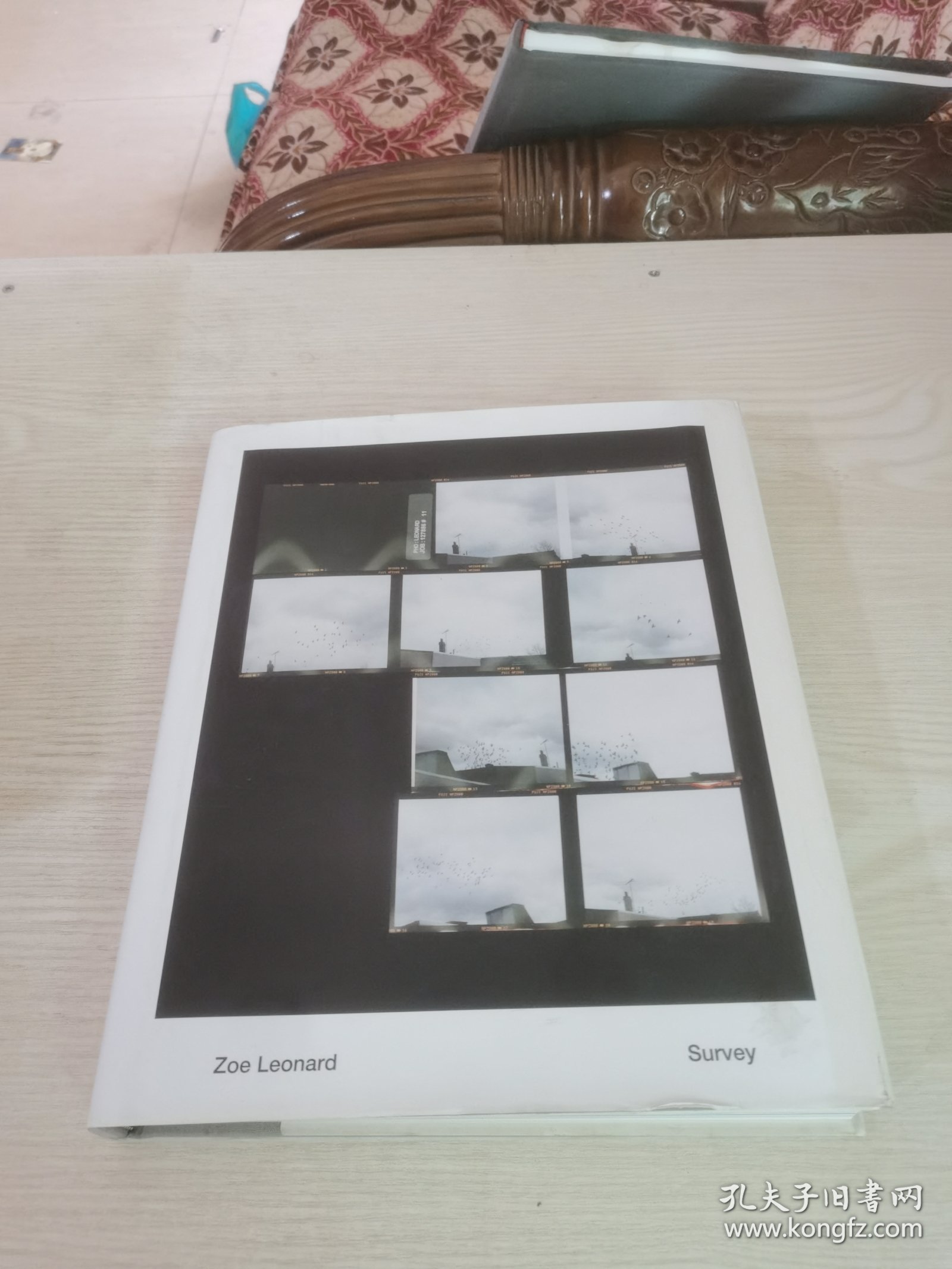 Zoe Leonard: Survey 佐伊伦纳德