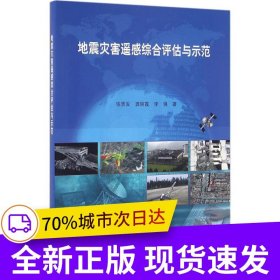 地震灾害遥感综合评估与示范