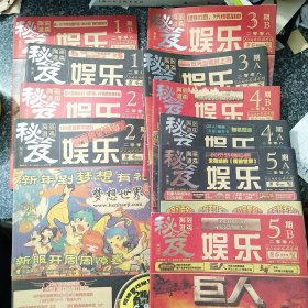 网络游戏 娱乐秘笈 2008年第1-5A期B期全（十册合售）